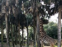 IMG 4607 : David von der Mehden