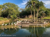 IMG 4610 : David von der Mehden