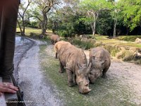 IMG 4621 : David von der Mehden