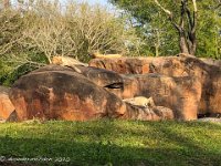 IMG 4635 : David von der Mehden