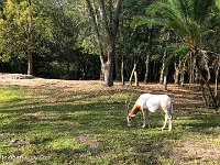 IMG 4642 : David von der Mehden