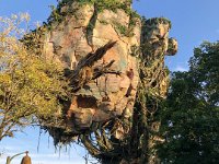 IMG 4646 : David von der Mehden