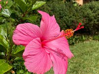 IMG 4671 : David von der Mehden