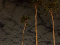 IMG 4807 : David von der Mehden