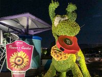 IMG 4826 : David von der Mehden