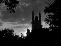 IMG 4864 : David von der Mehden