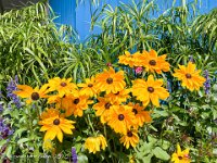 IMG 8413 : David von der Mehden