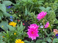 IMG 8449 : David von der Mehden