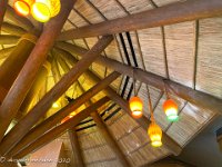 IMG 8465 : David von der Mehden