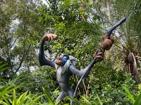 IMG 8484 : David von der Mehden