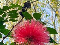 IMG 8489 : David von der Mehden