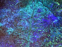 IMG 8499 : David von der Mehden