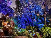 IMG 8501 : David von der Mehden