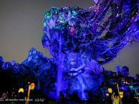 IMG 8502 : David von der Mehden