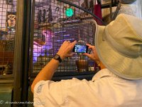 IMG 8531 : David von der Mehden