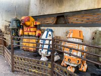 IMG 8536 : David von der Mehden