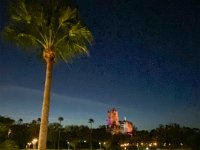 IMG 8547 : David von der Mehden