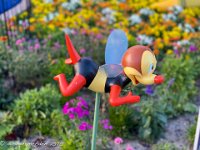 IMG 8662 : David von der Mehden