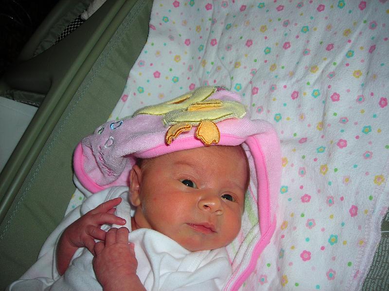 DSCN0692.JPG - all ready, maybe