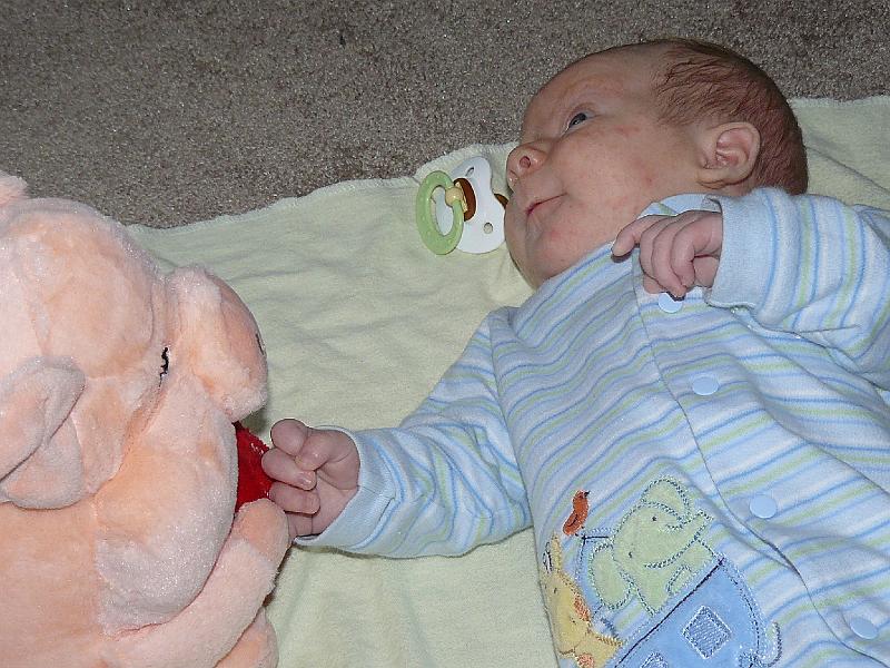 P1010271.JPG - Kalin and his plush pig from China (he was born in the year of the pig)